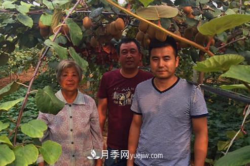 南阳西峡县青年朱云汉做电商 一天能卖近两吨猕猴桃